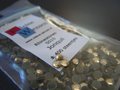 Jonquil ss10 Rhinestones